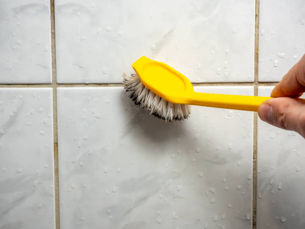 Best Commercial Mold Removal  in Millcreek, UT