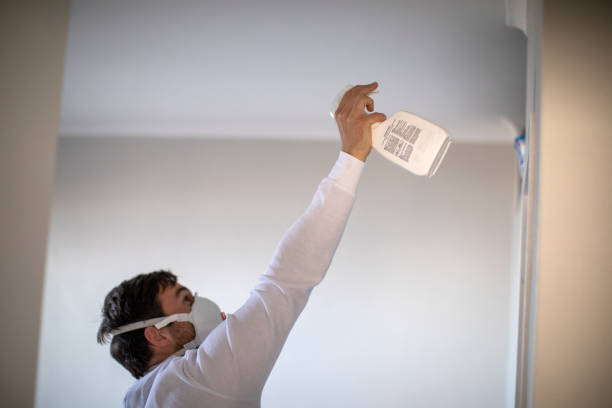 Best Office Mold Removal Services  in Millcreek, UT
