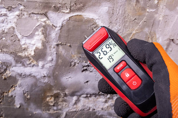 Professional Mold Removal in Millcreek, UT