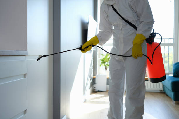 Home Mold Removal in Millcreek, UT