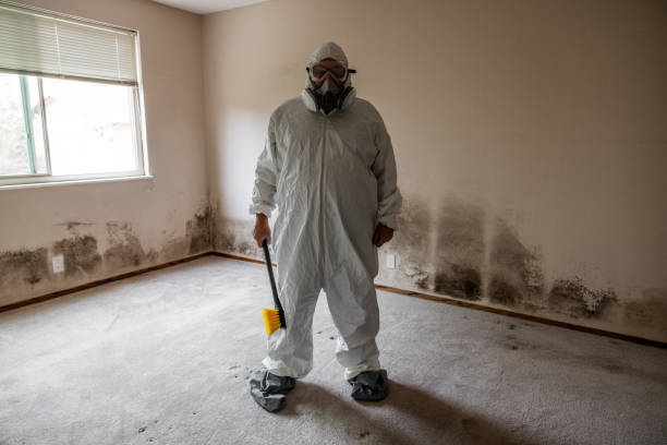 Best Certified Mold Removal  in Millcreek, UT